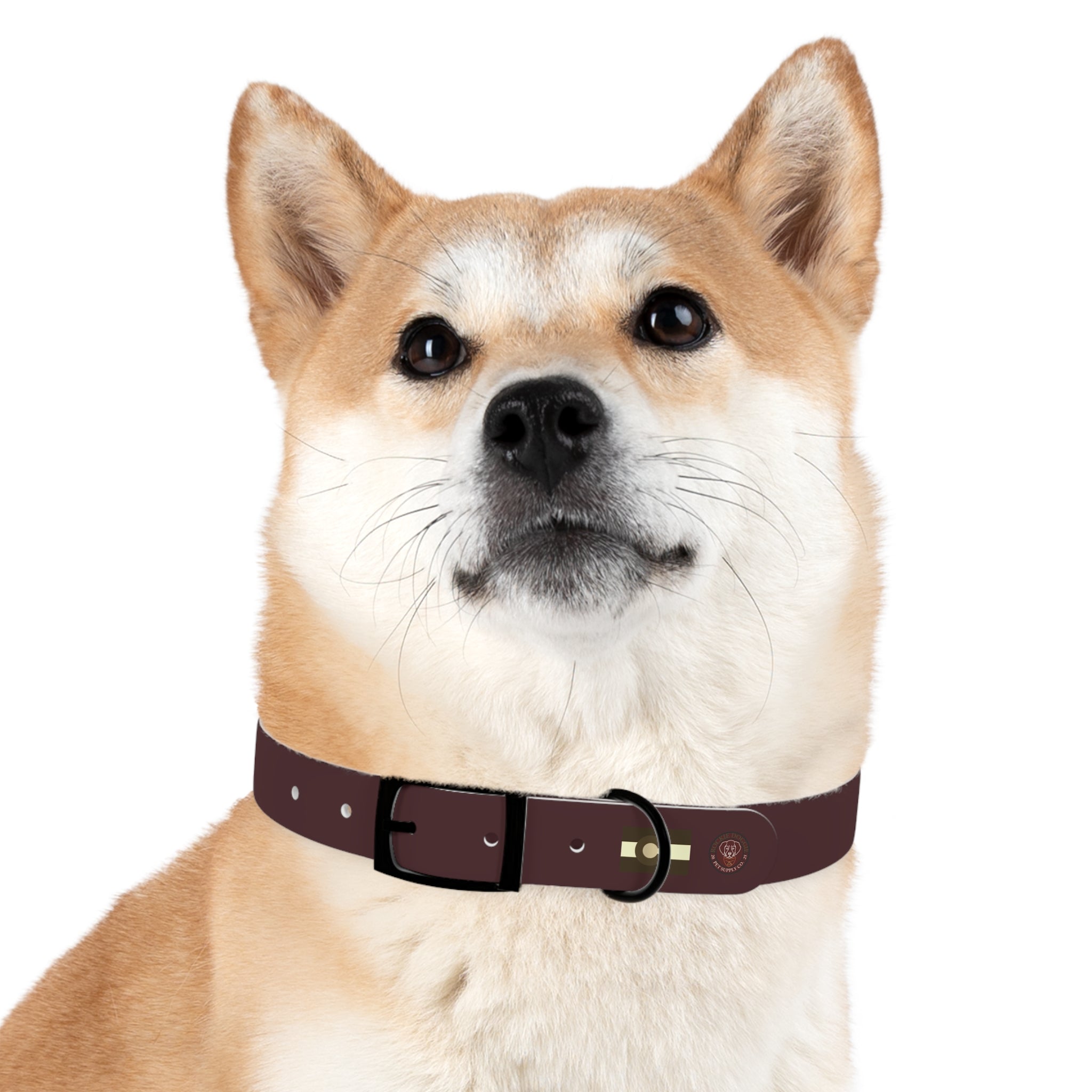 Rockie Doggie Collar (Leather)