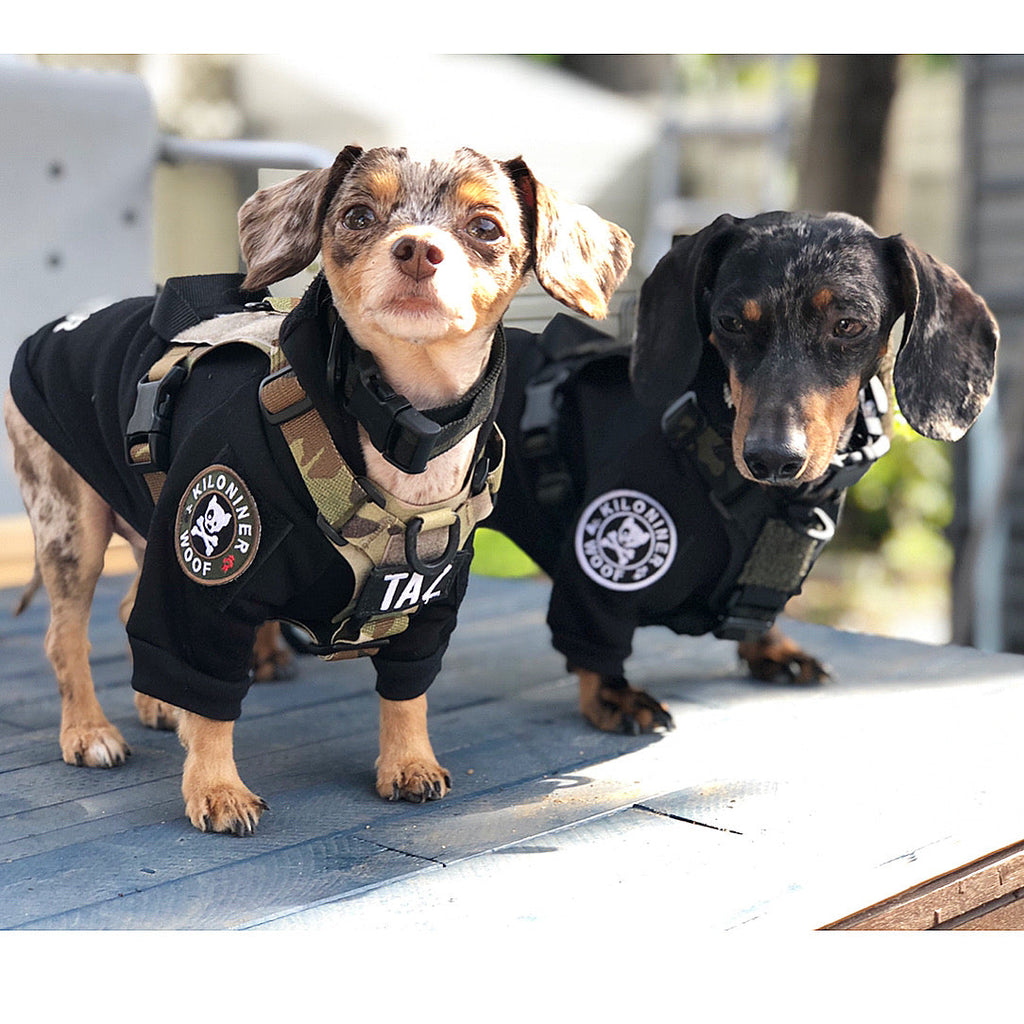 H1 Tactical Dog Hoodie