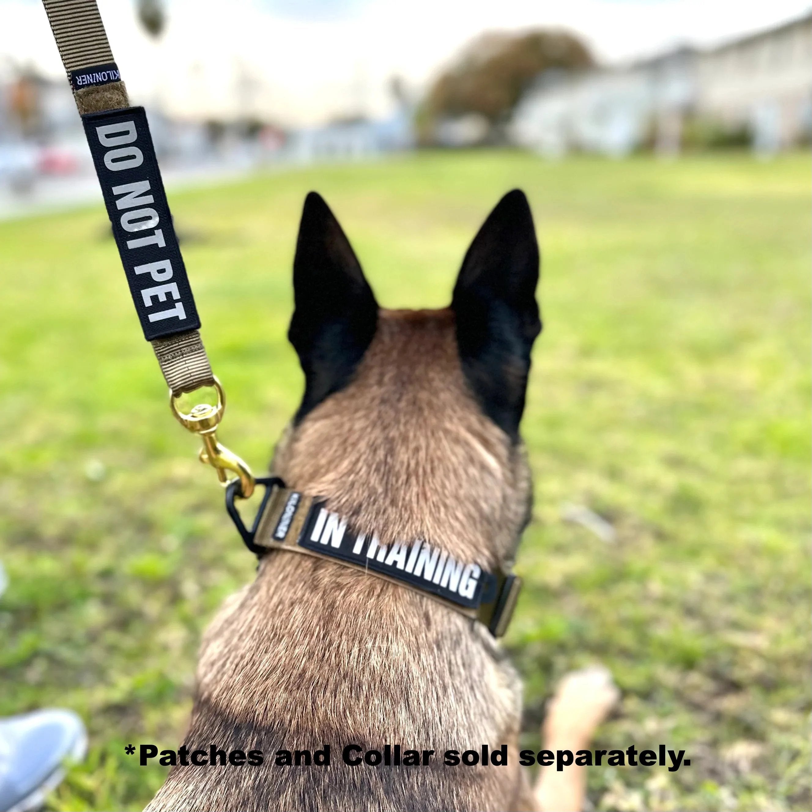 K9R - BLH Big Dog Leash Heavy Duty