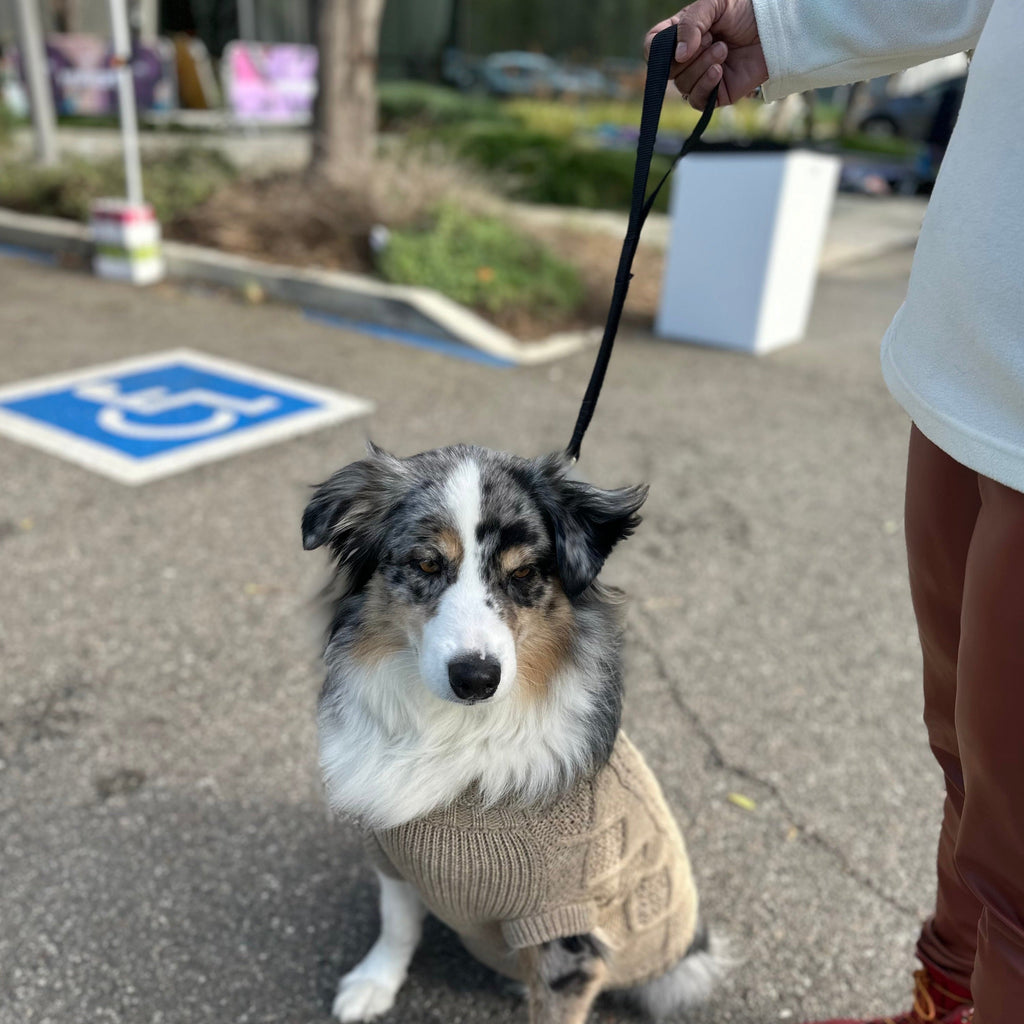 K9R - BTL Big Dog Traffic Leash Heavy Duty