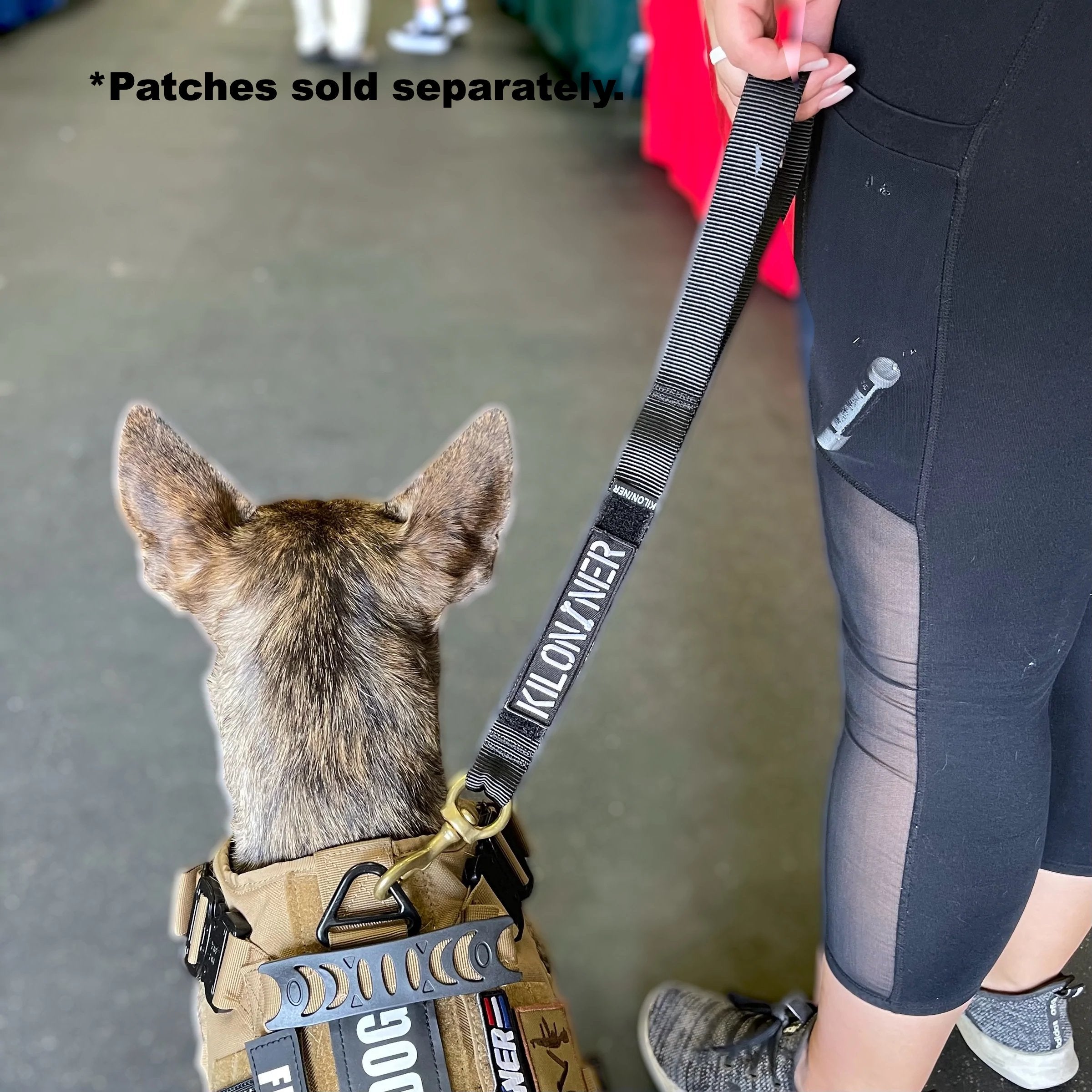 K9R - BTL Big Dog Traffic Leash Heavy Duty