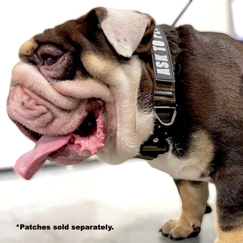 K9R - BCH Big Dog Collar Heavy Duty