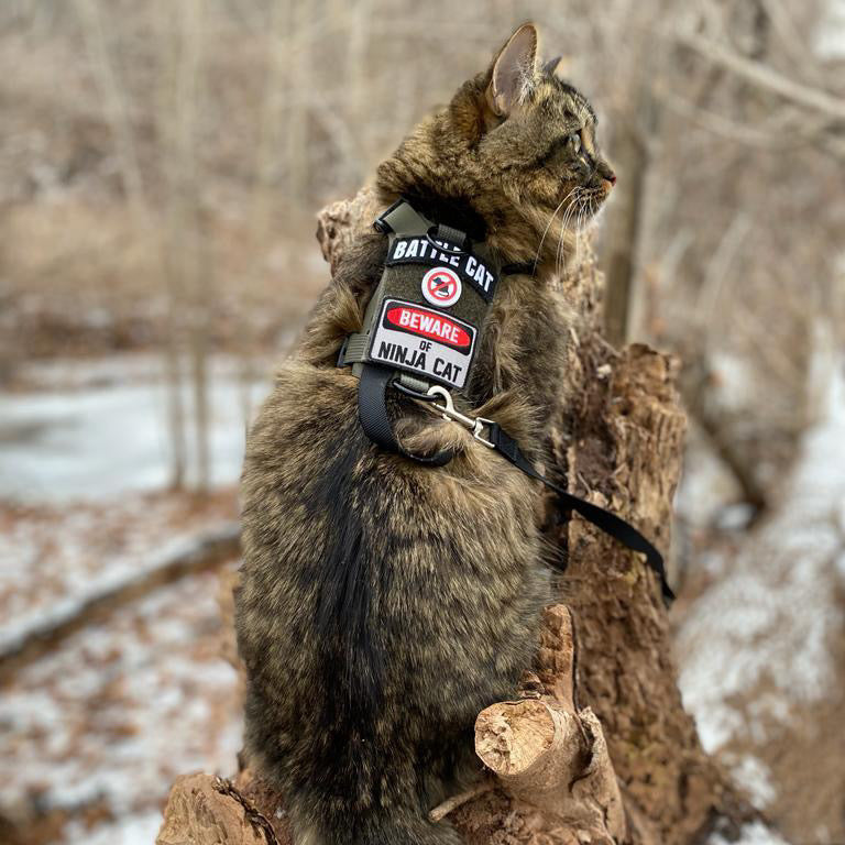 K9R - M1 Lightspeed Harness for Cats