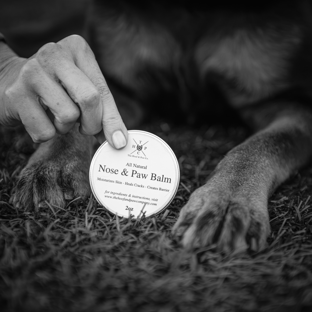 Nose & Paw Balm for Dogs - 2oz - Brought to you by Hoof & Paw Co.
