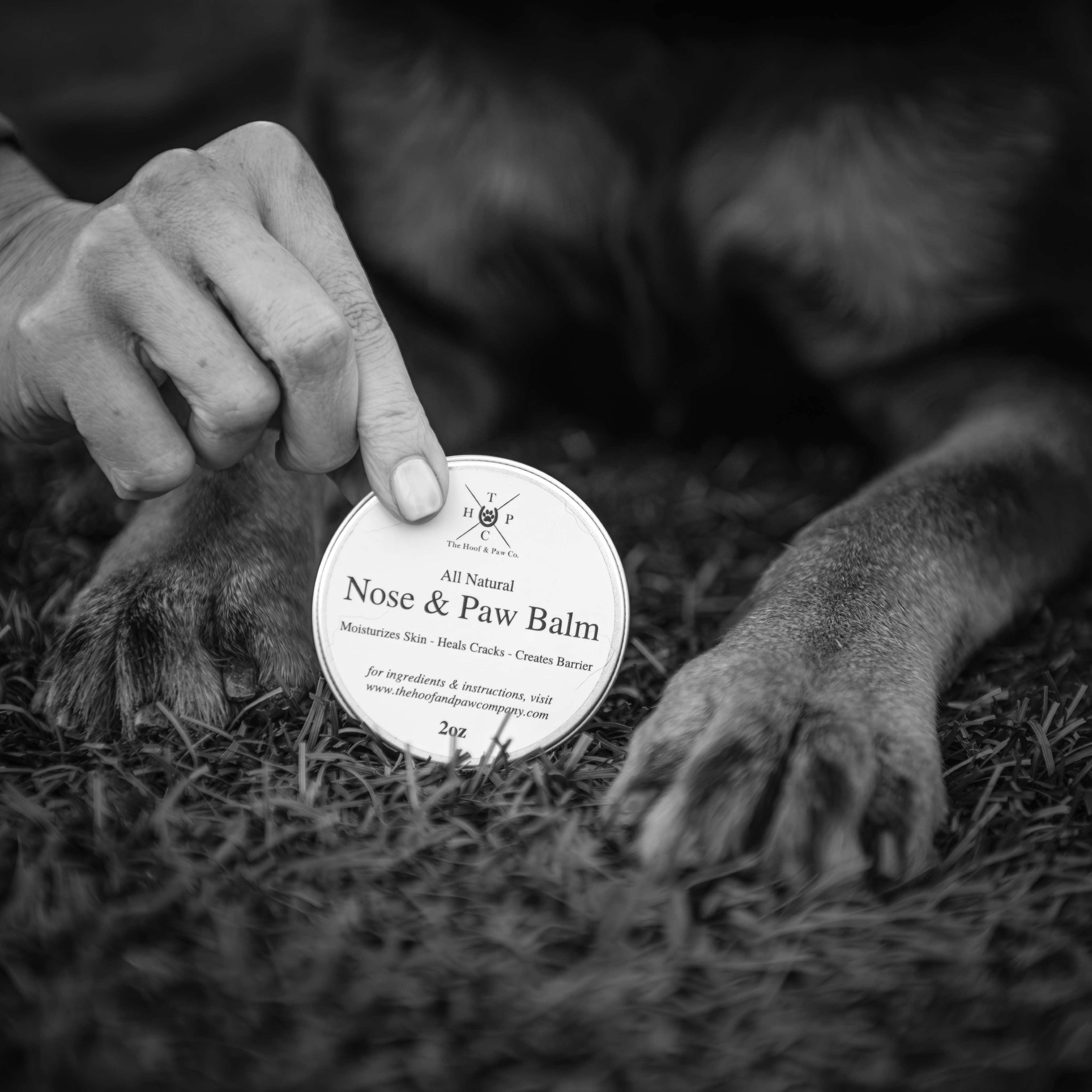 Nose & Paw Balm for Dogs - 2oz - Brought to you by Hoof & Paw Co.