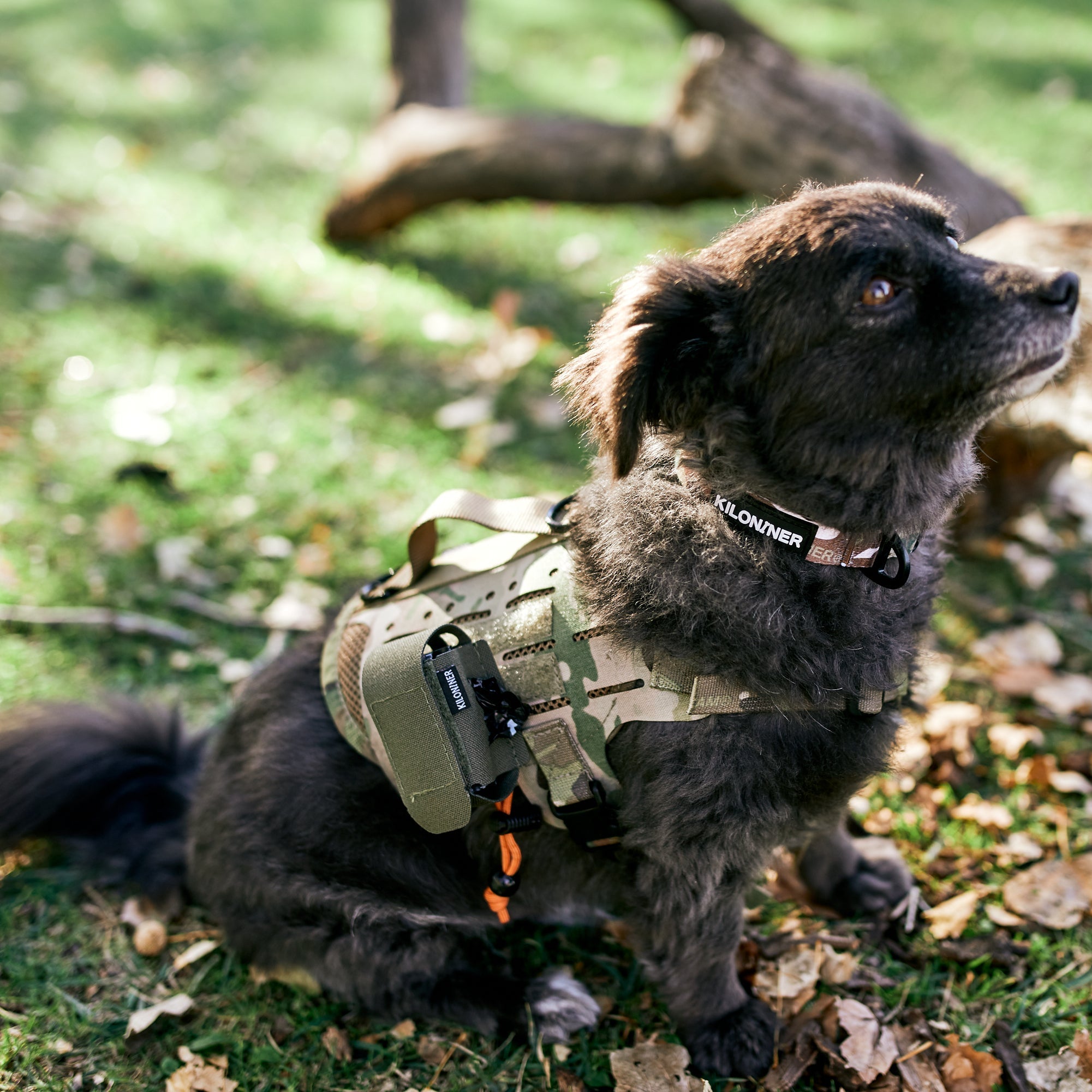 K9R - MP4 Poop Bag Dispenser Pouch
