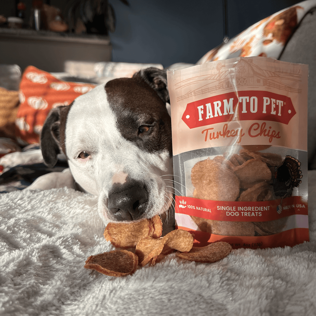 Turkey Chips for Dogs | All-Natural Single-Ingredient | Farm to Pet