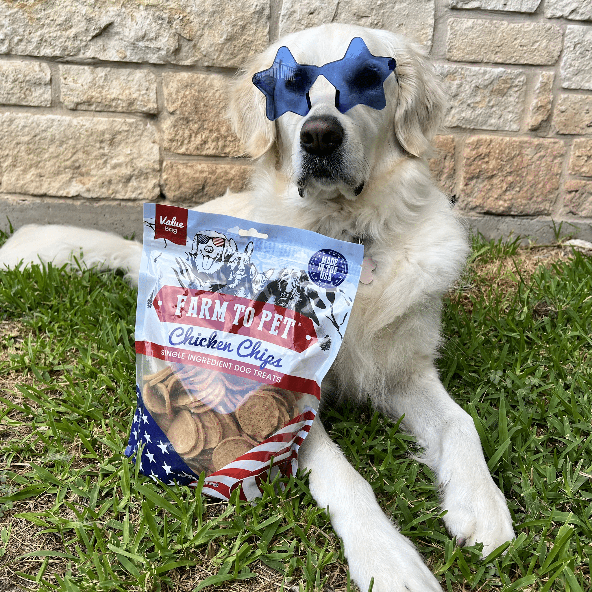 Americana Chicken Chips for Dogs | Farm to Pet