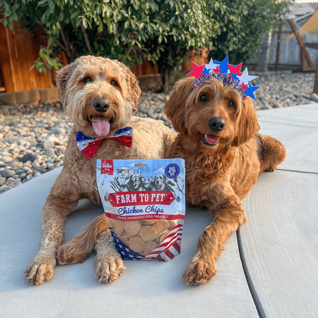 Americana Chicken Chips for Dogs | Farm to Pet