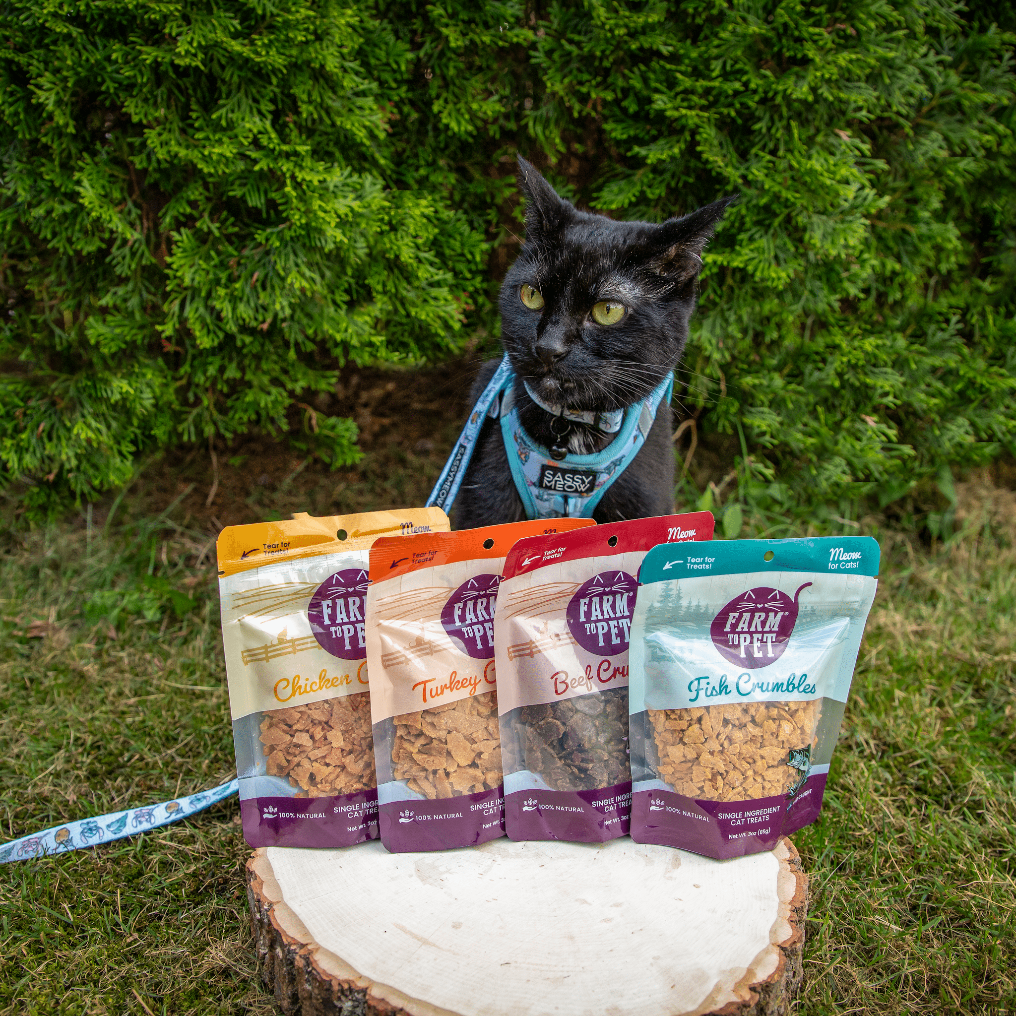 Beef Crumble Treats for Cats | High Protein | Farm to Pet