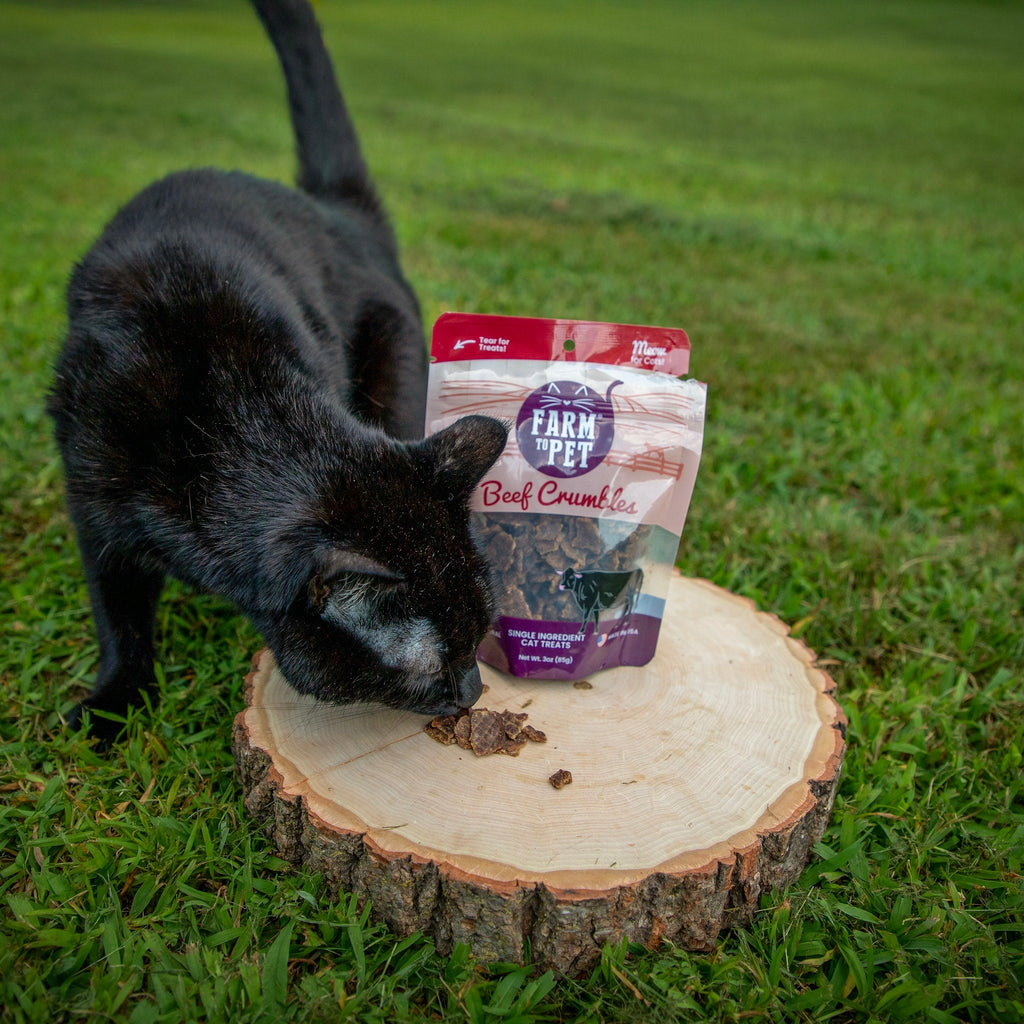 Beef Crumble Treats for Cats | High Protein | Farm to Pet