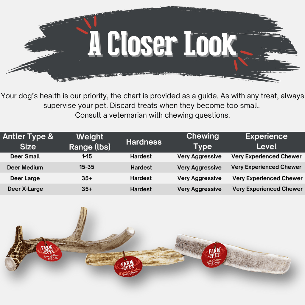 Deer Antler Dog Chews | Organic Chews for Dogs
