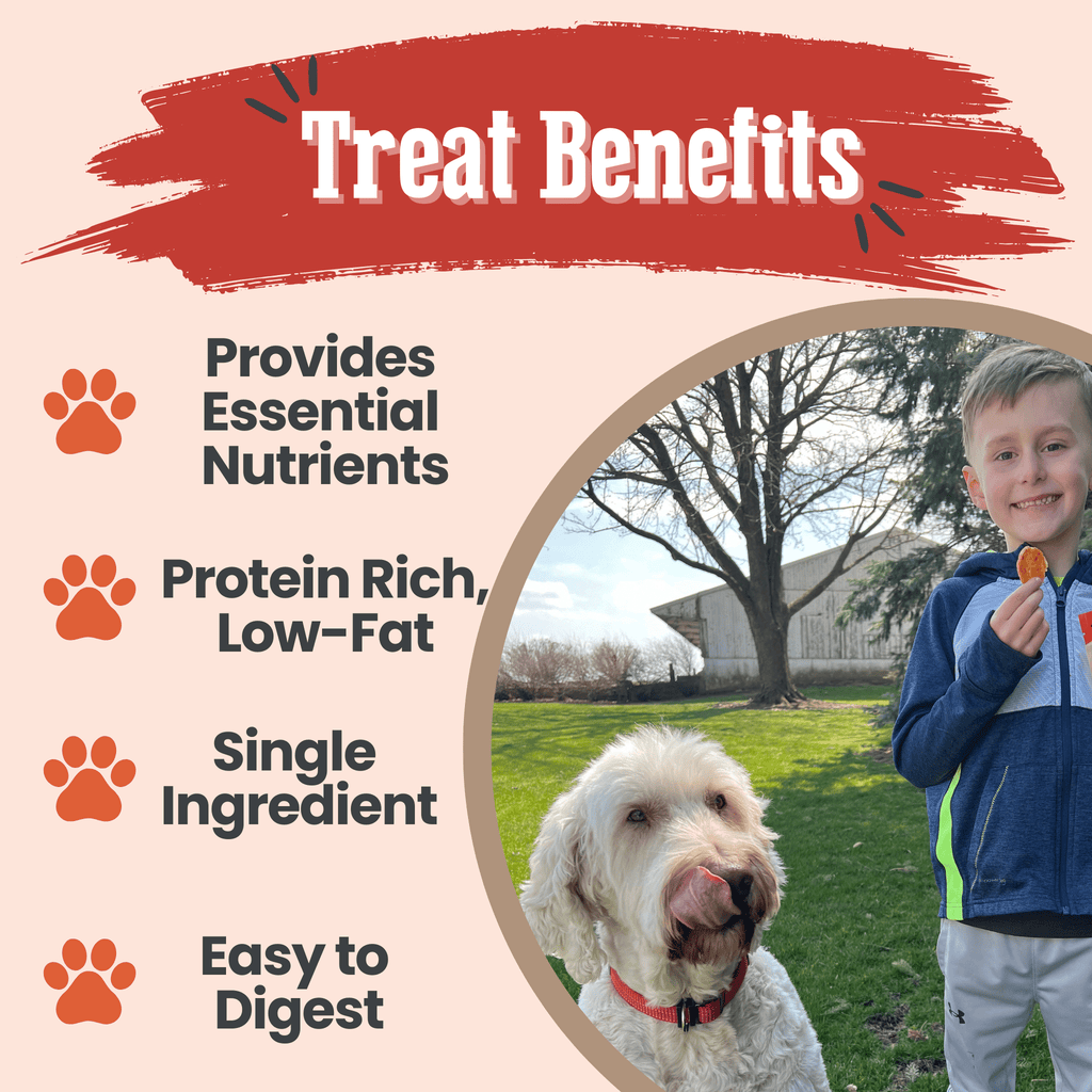 Turkey Chips for Dogs | All-Natural Single-Ingredient | Farm to Pet