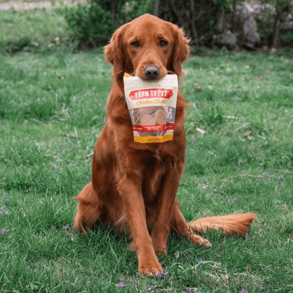 Chicken Chips for Dogs | All-Natural Single-Ingredient | Farm to Pet