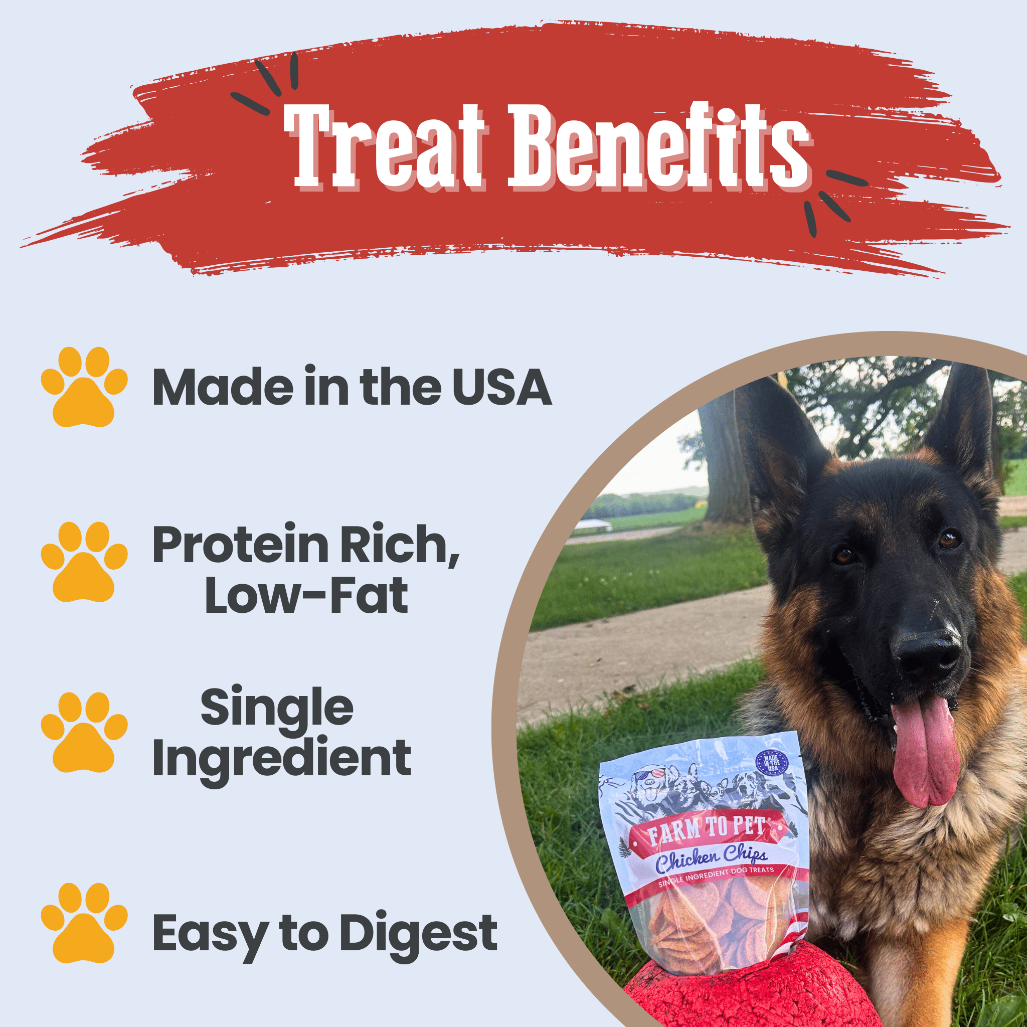 Americana Chicken Chips for Dogs | Farm to Pet