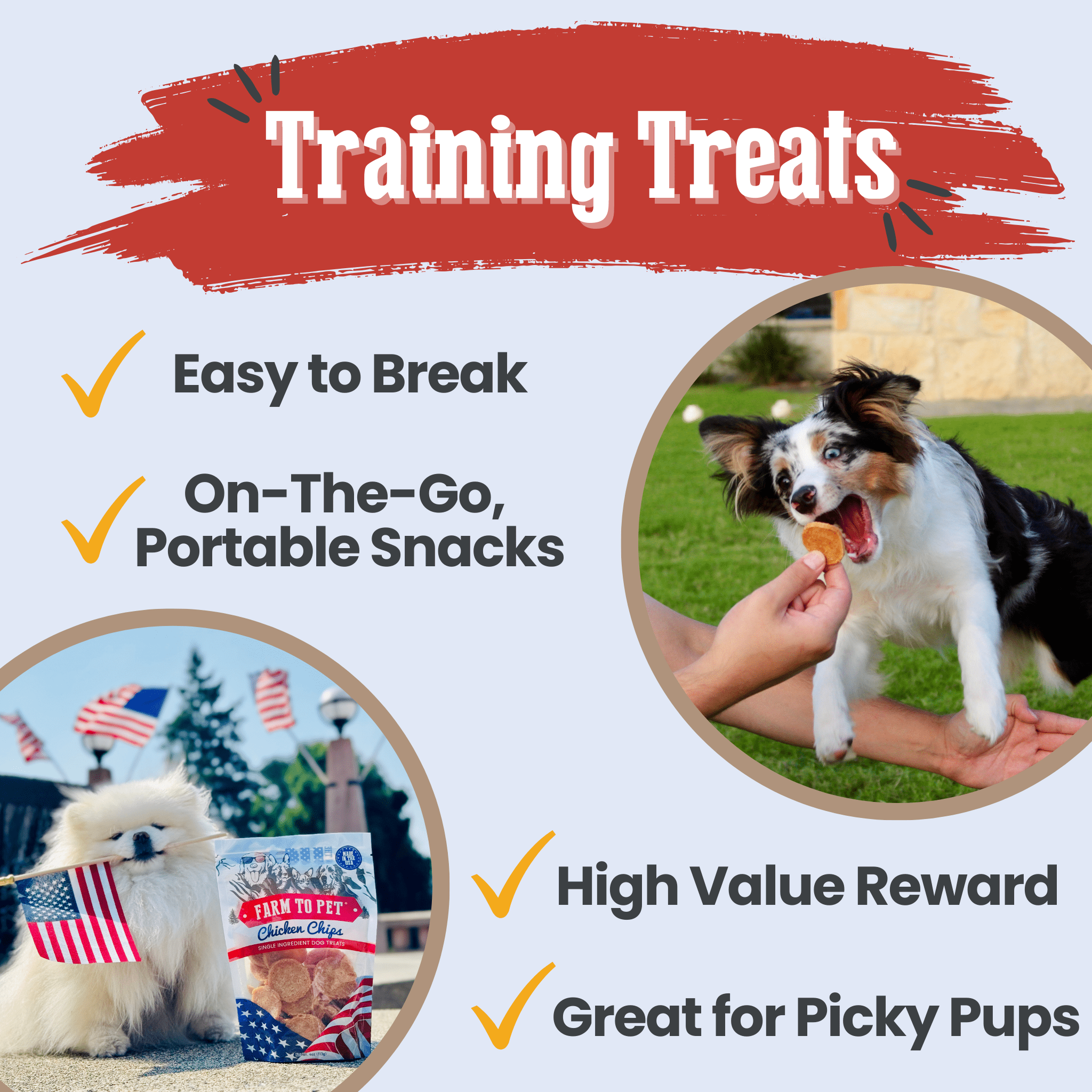 Americana Chicken Chips for Dogs | Farm to Pet