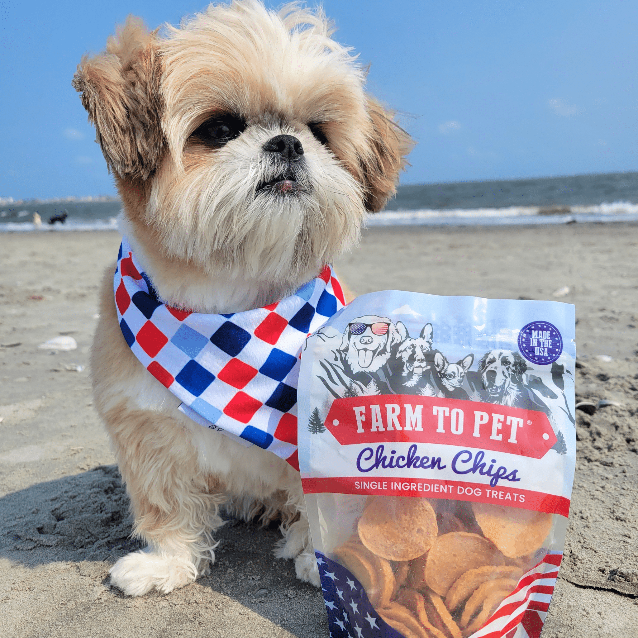 Americana Chicken Chips for Dogs | Farm to Pet
