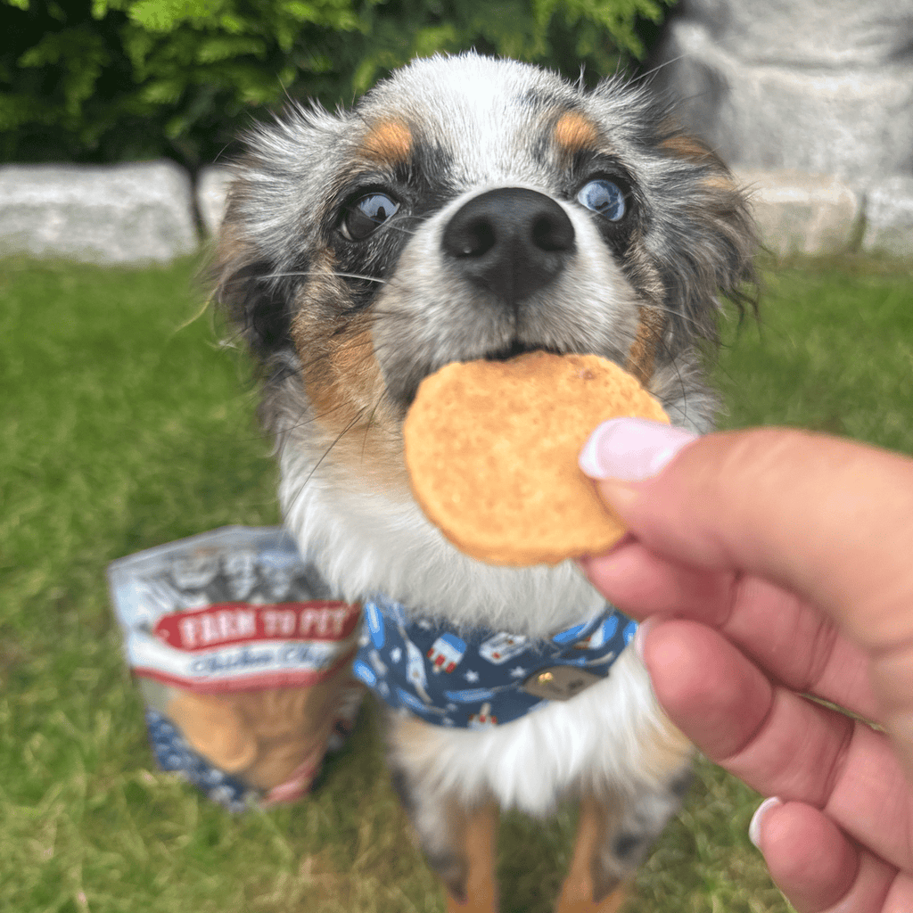 Americana Chicken Chips for Dogs | Farm to Pet