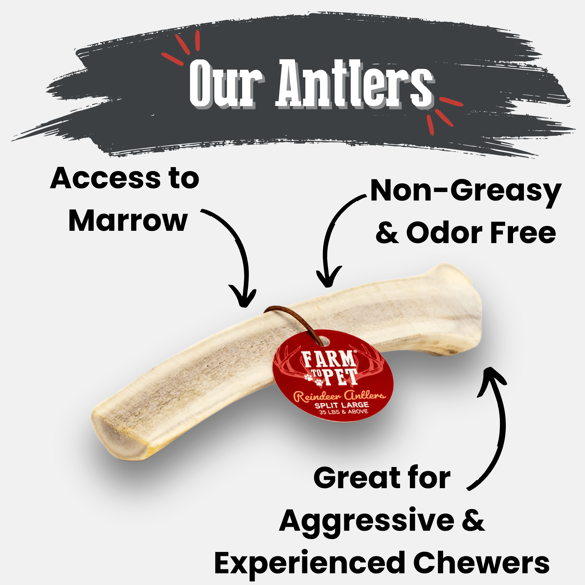 Reindeer Antler Dog Chews | Organic Chews for Dogs