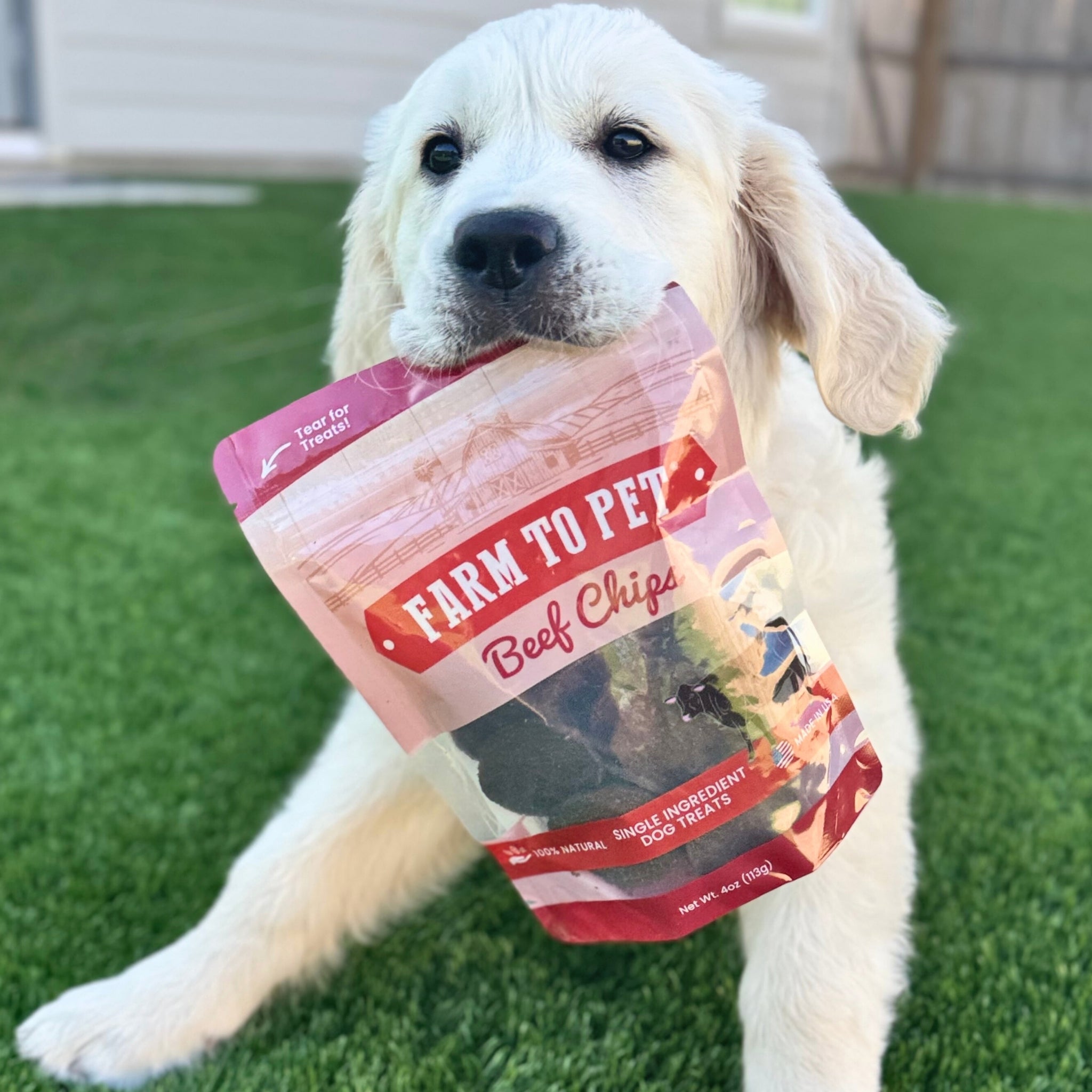 Beef Chips Dog Treats | Single-Ingredient | Farm to Pet