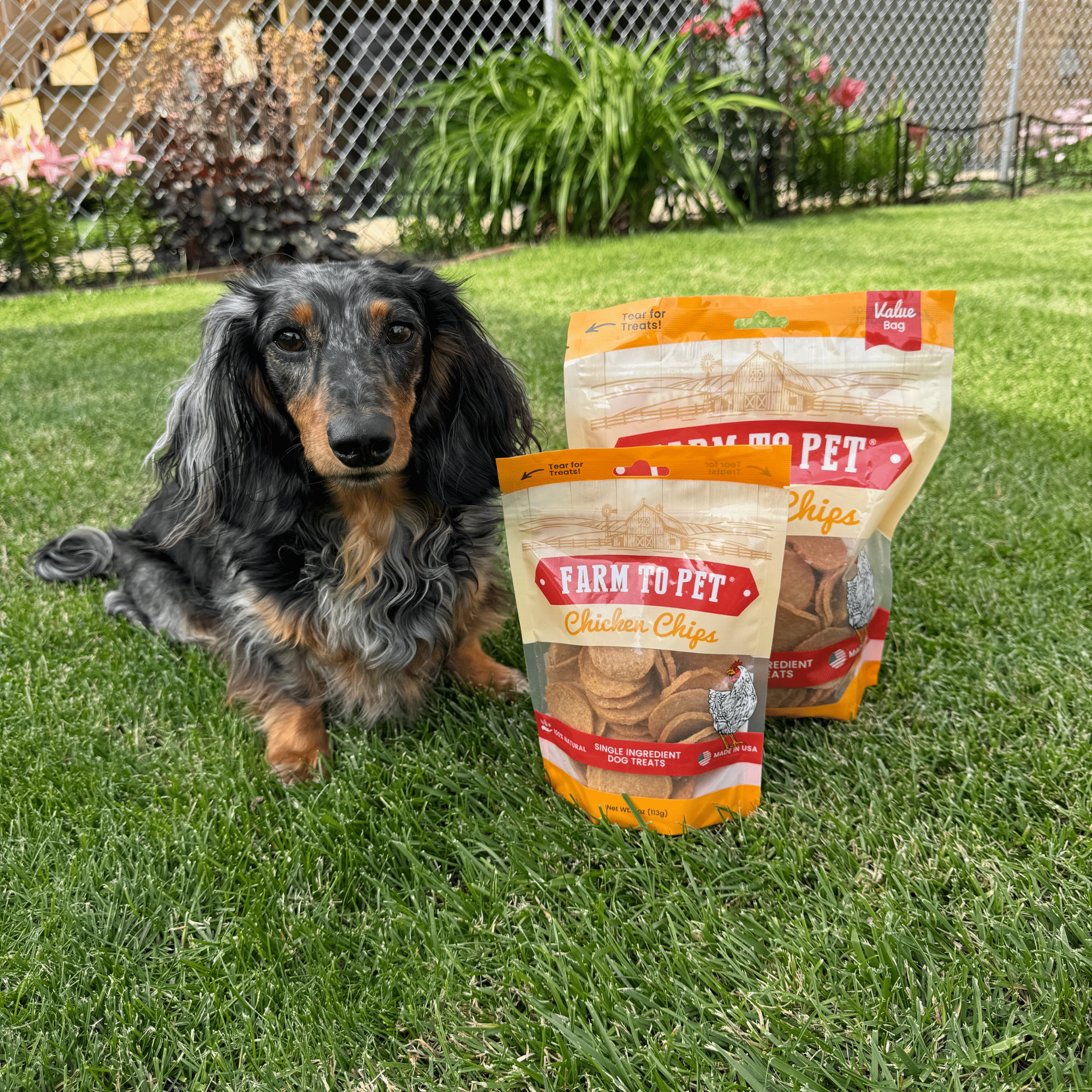 Chicken Chips for Dogs | All-Natural Single-Ingredient | Farm to Pet