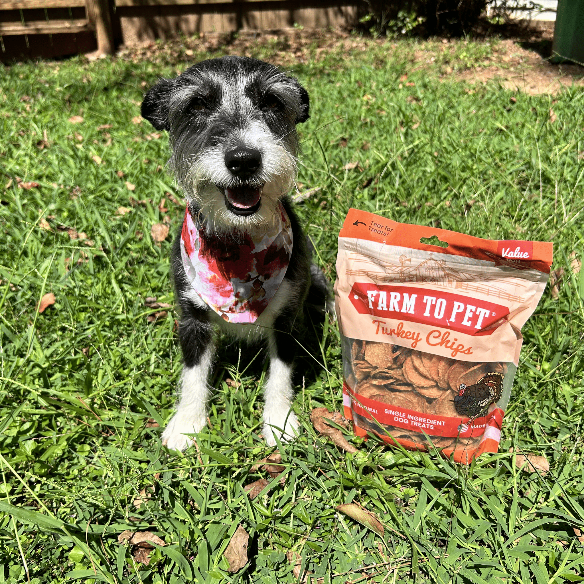 Turkey Chips for Dogs | All-Natural Single-Ingredient | Farm to Pet