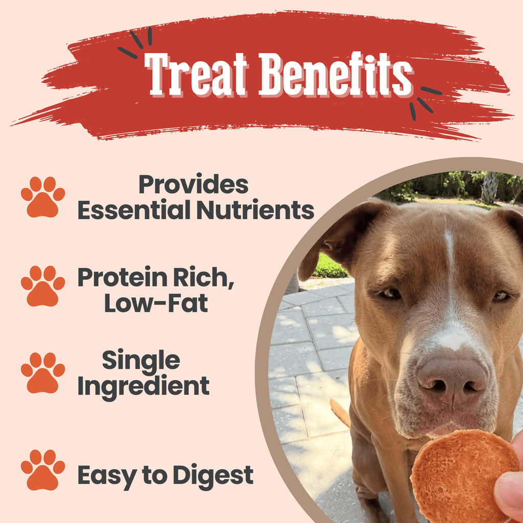 Turkey Chips for Dogs | All-Natural Single-Ingredient | Farm to Pet