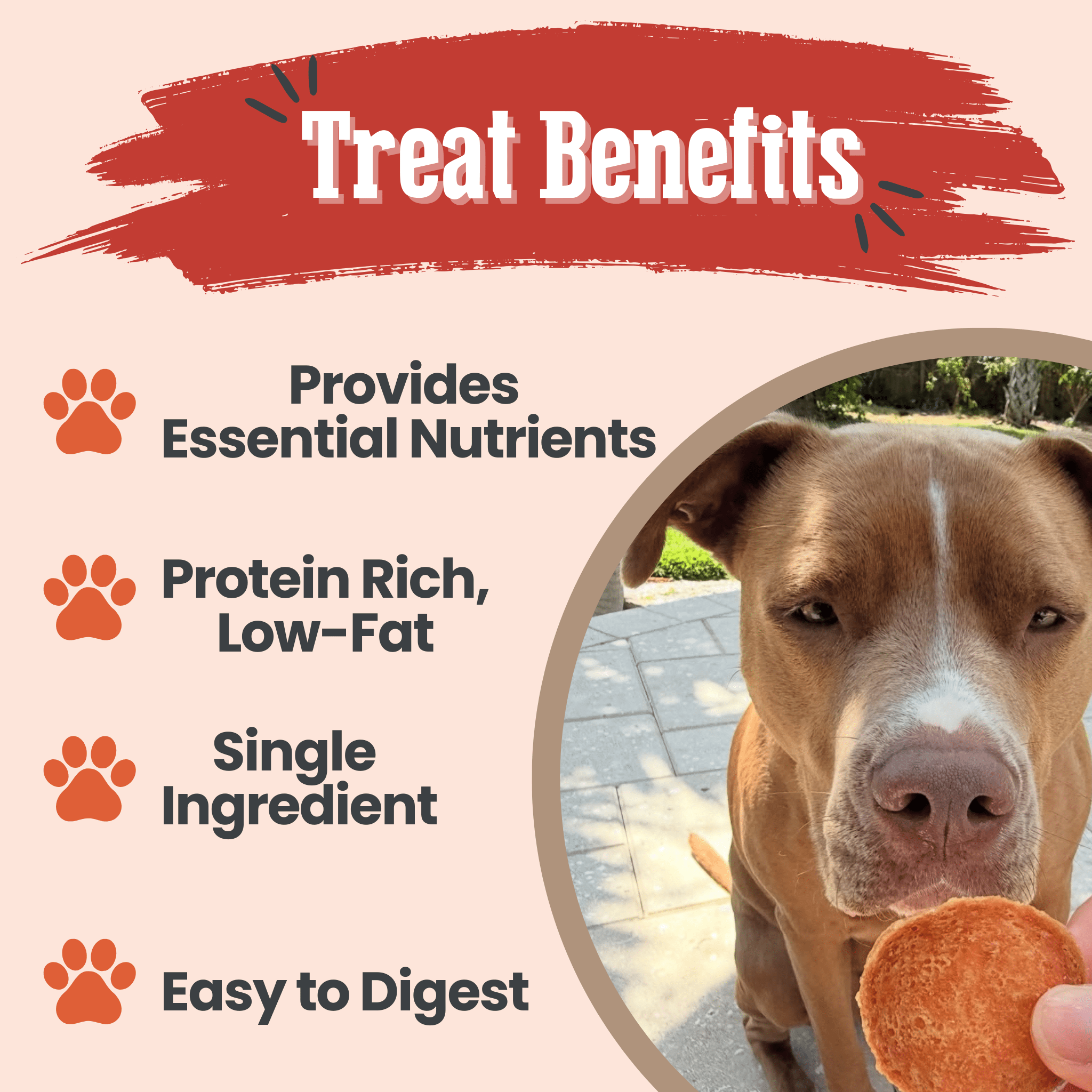 Turkey Chips for Dogs | All-Natural Single-Ingredient | Farm to Pet