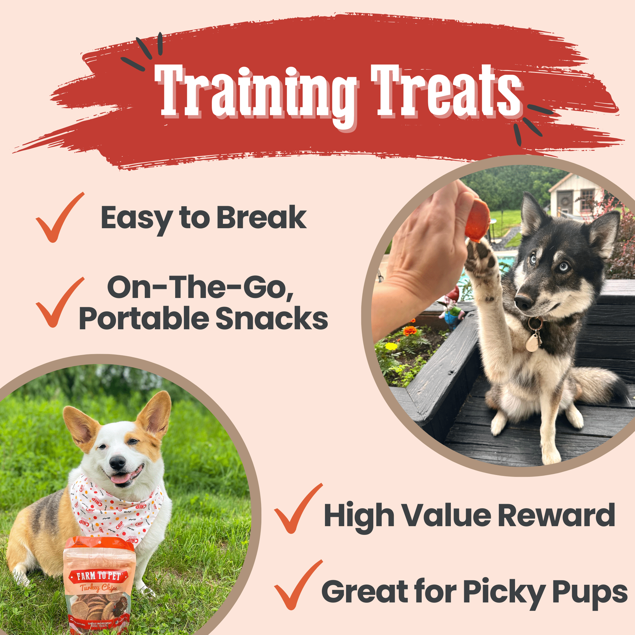 Turkey Chips for Dogs | All-Natural Single-Ingredient | Farm to Pet