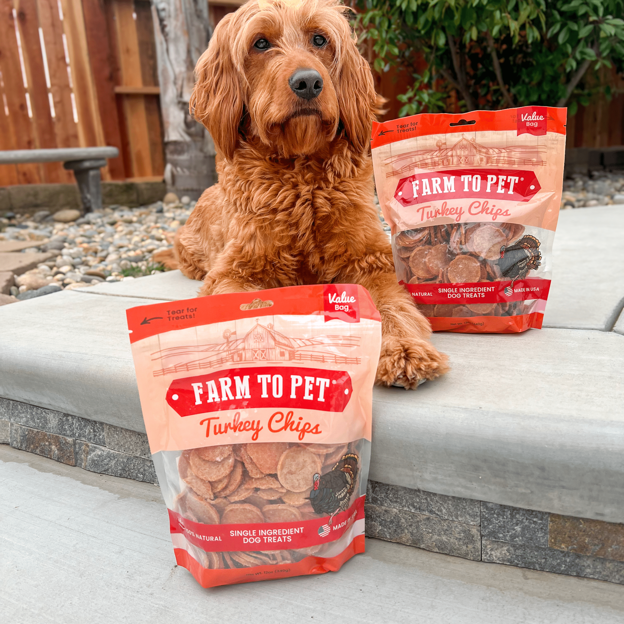 Turkey Chips for Dogs | All-Natural Single-Ingredient | Farm to Pet