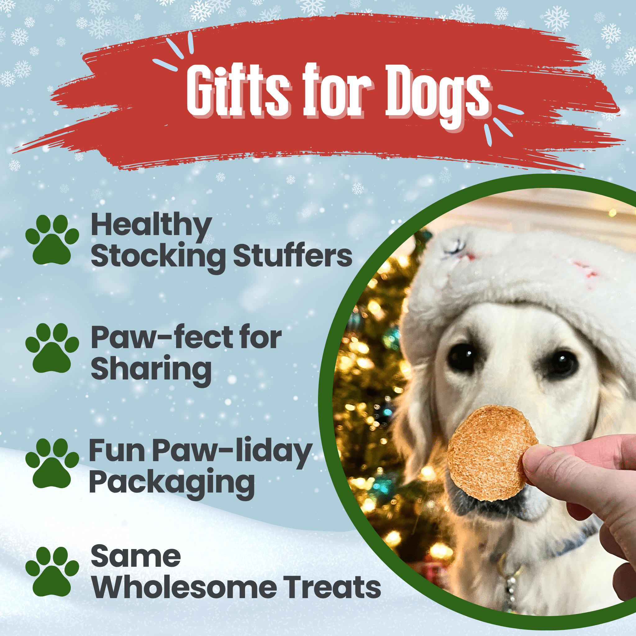 Healthy Holiday Treat Chips | Chicken & Turkey | Farm to Pet