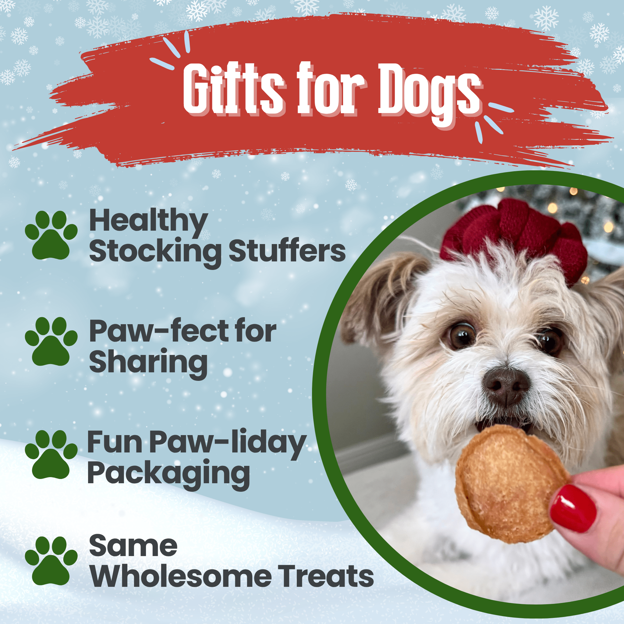 Healthy Holiday Treat Chips | Chicken & Turkey | Farm to Pet