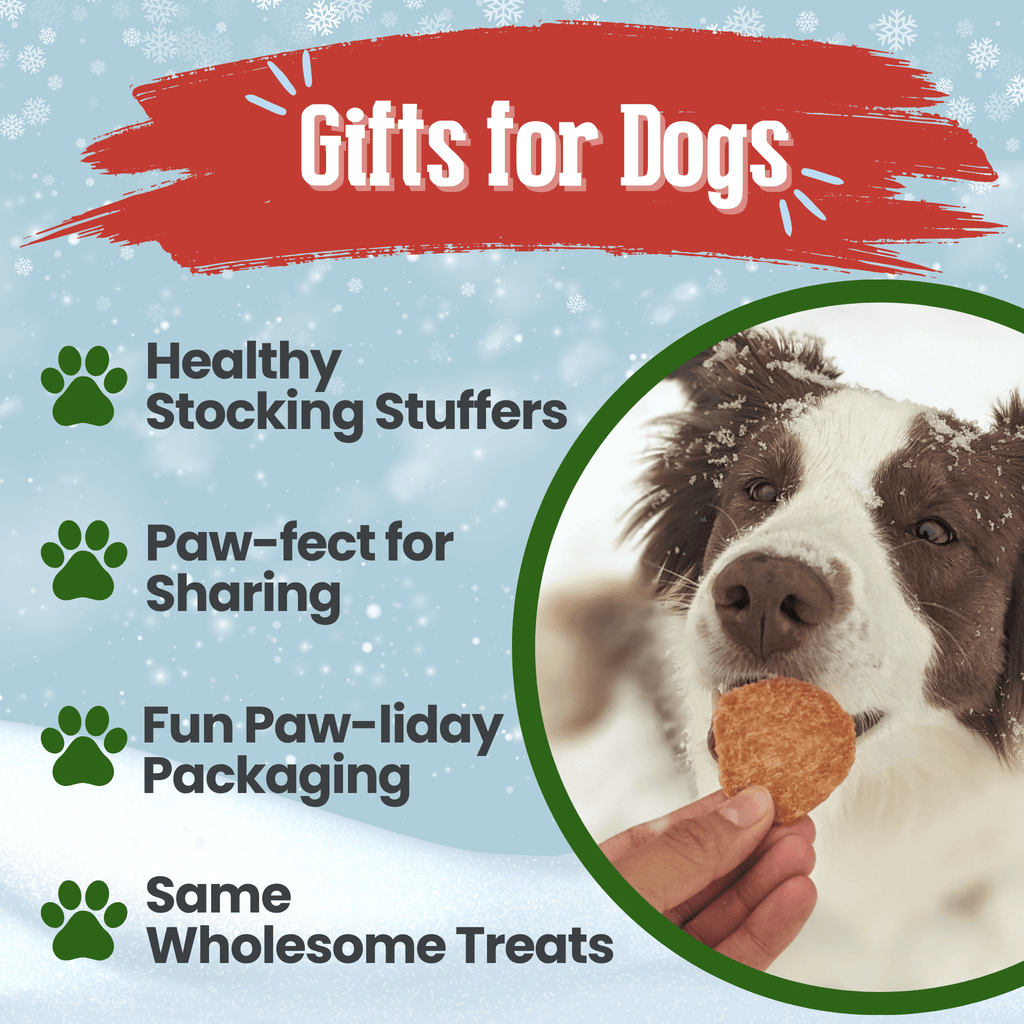 Healthy Holiday Treat Chips | Chicken & Turkey | Farm to Pet