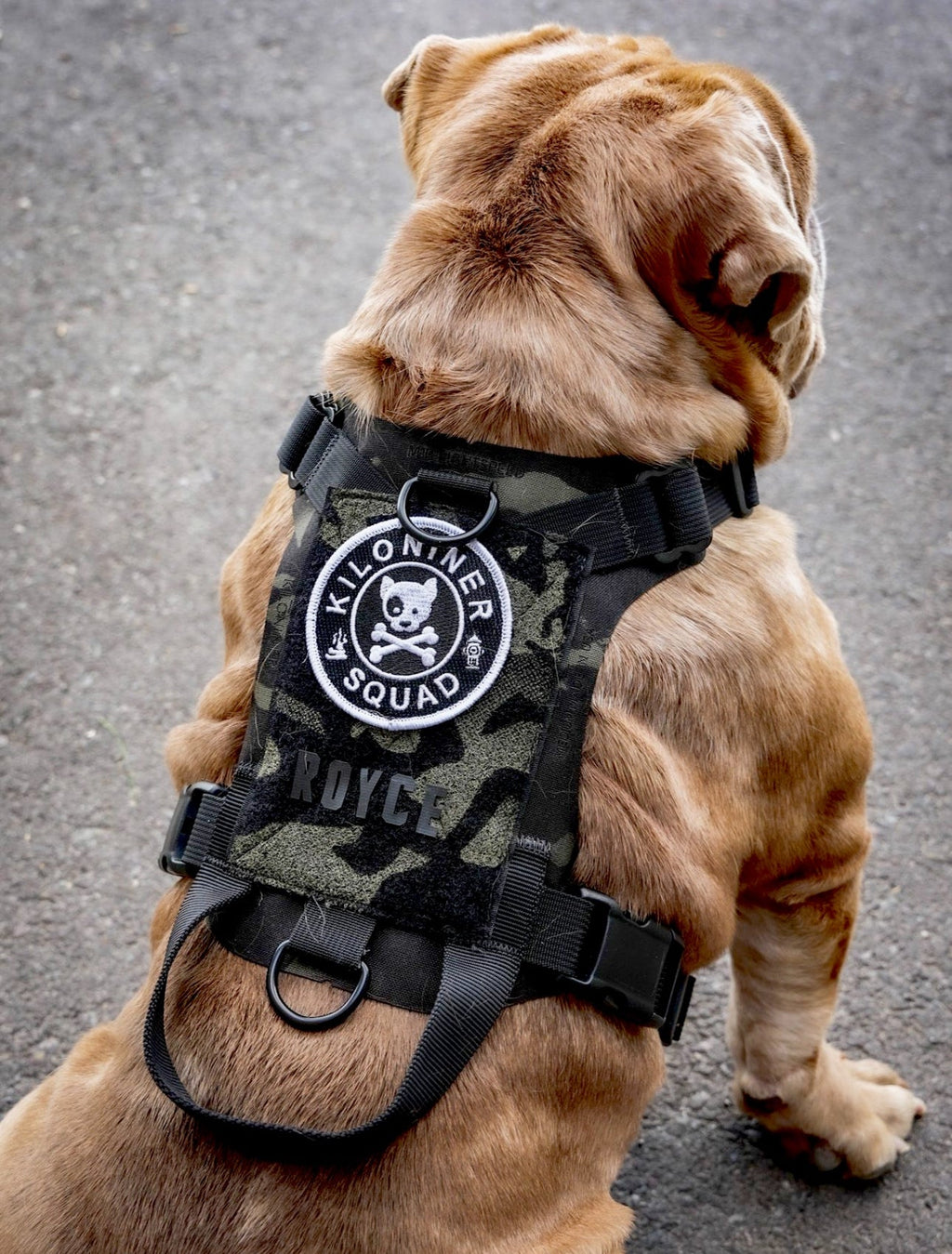 K9R - M1 LightSpeed Harness