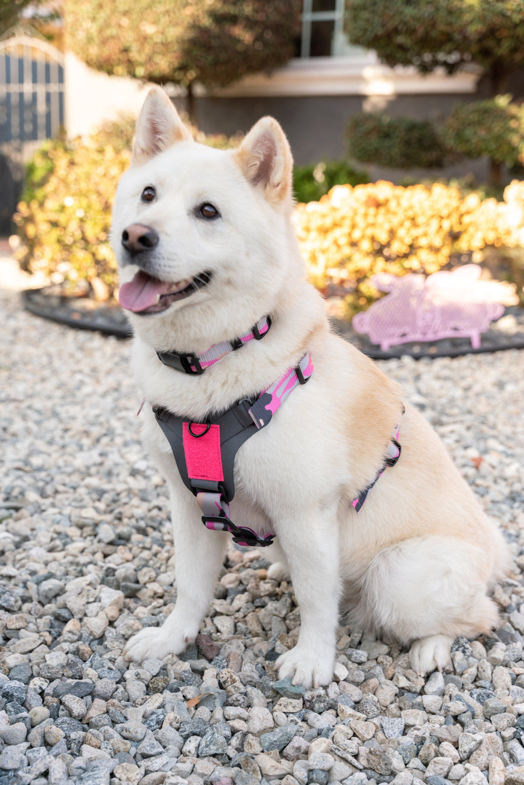 K9R - M1 LightSpeed Harness