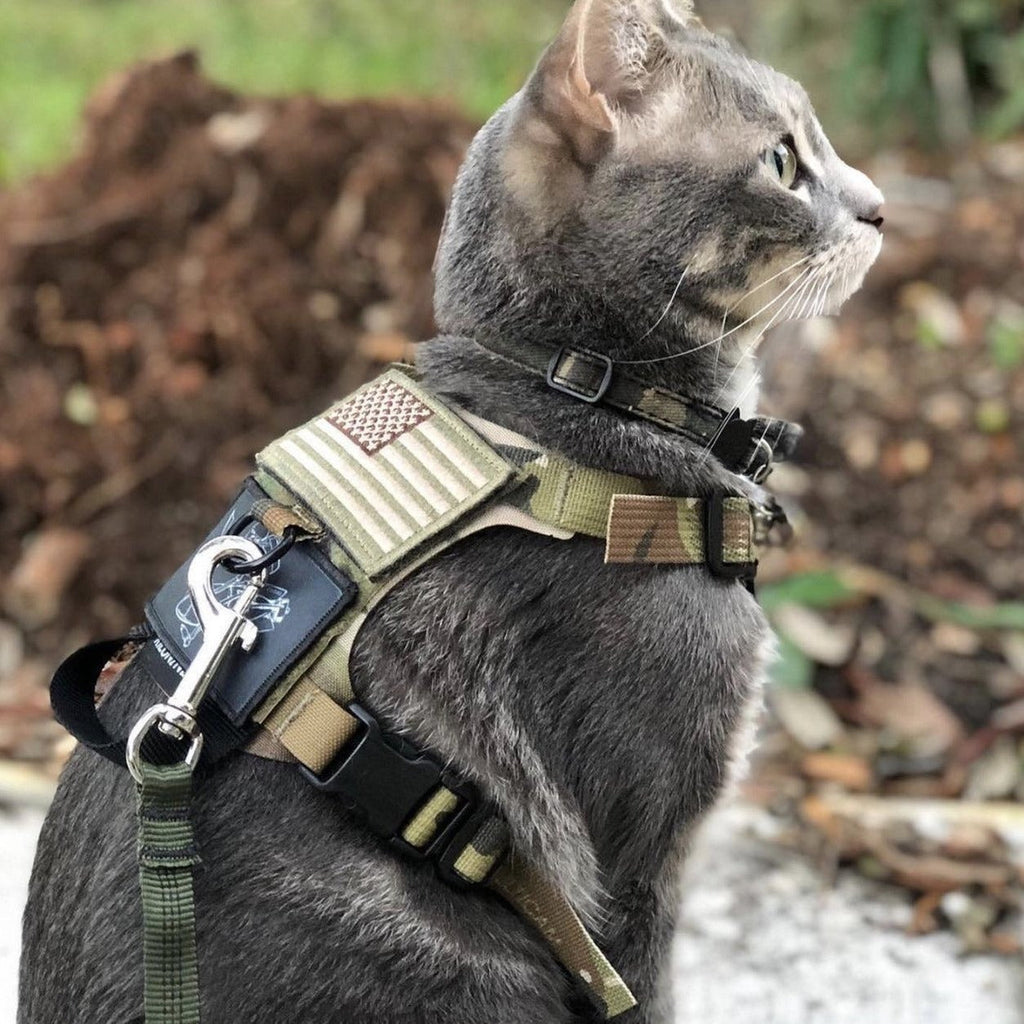 K9R - M1 Lightspeed Harness for Cats