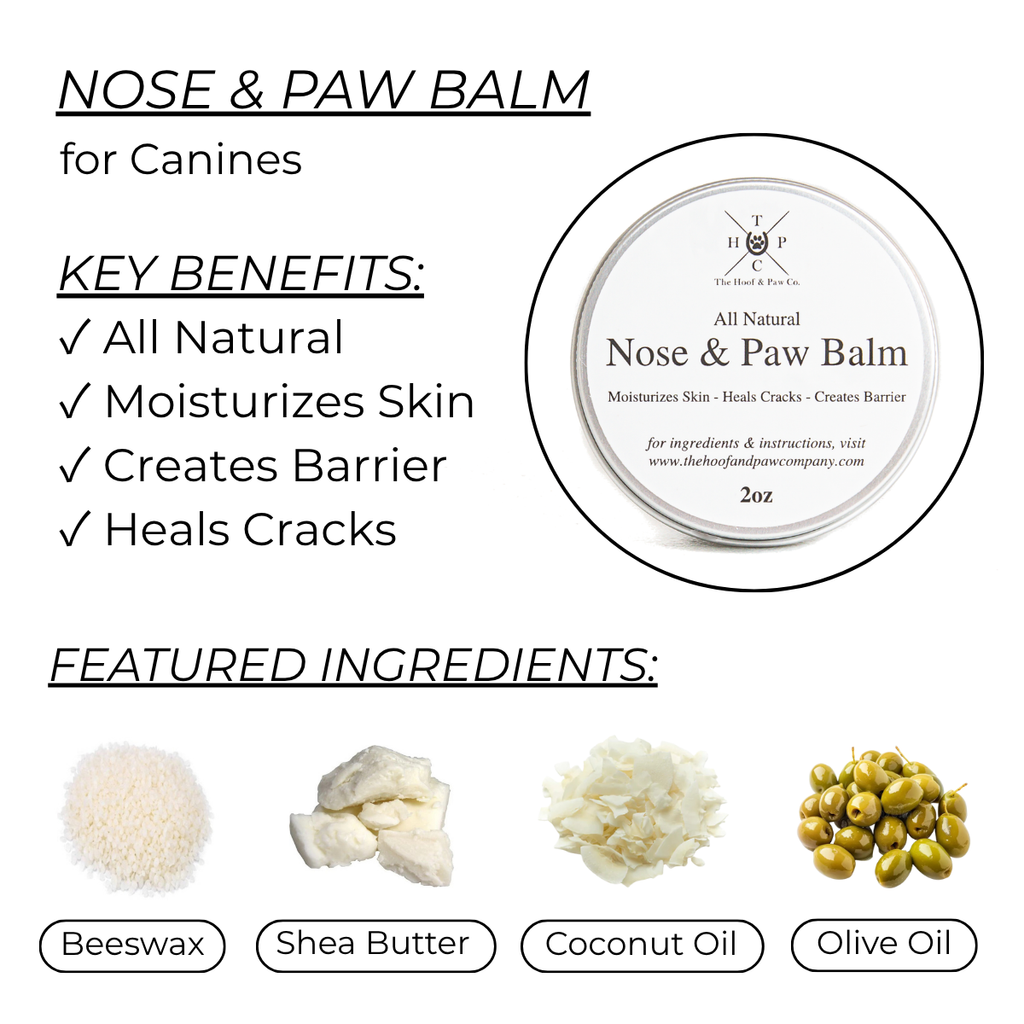 Nose & Paw Balm for Dogs - 2oz - Brought to you by Hoof & Paw Co.