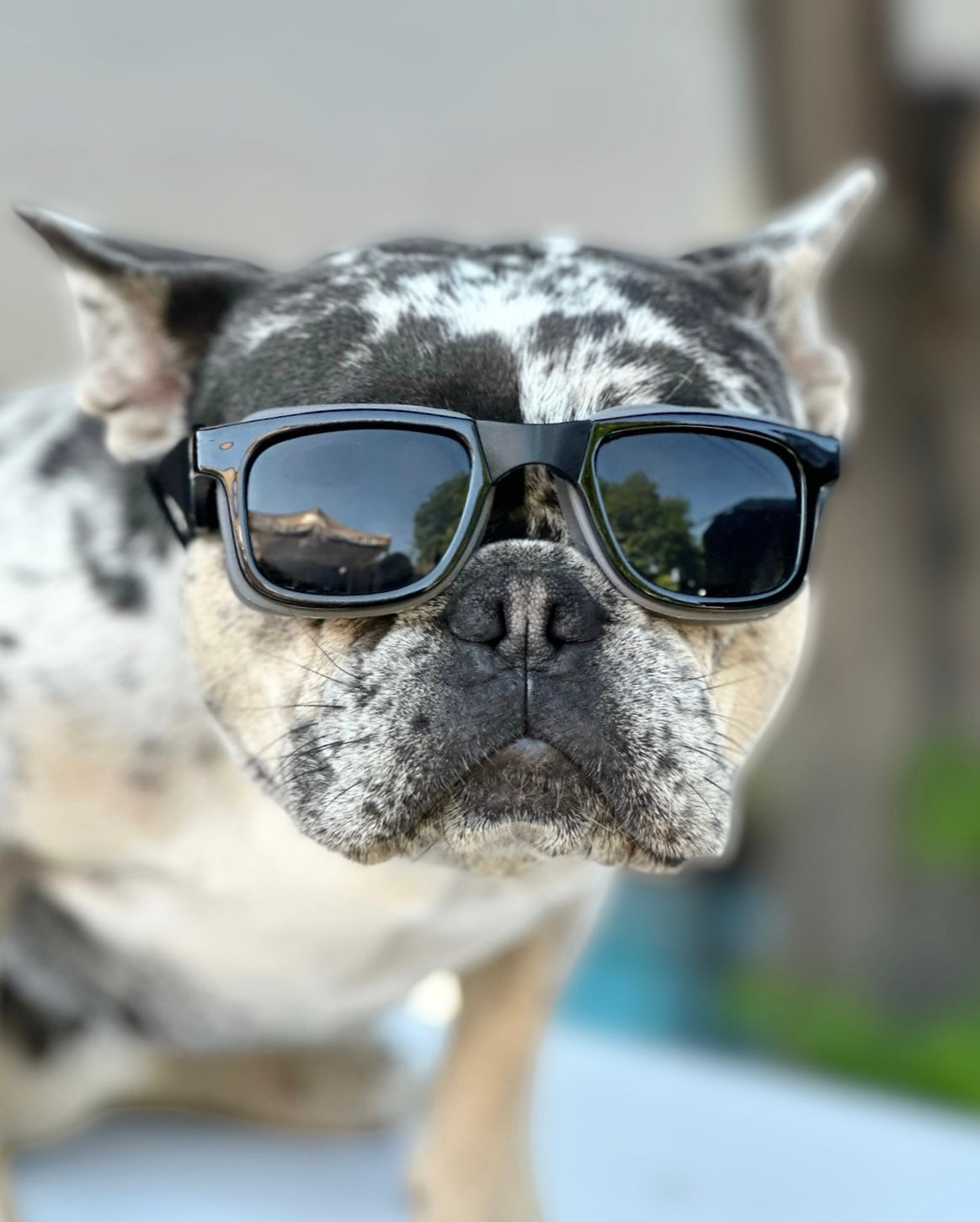 W1 Eye Defender Goggles