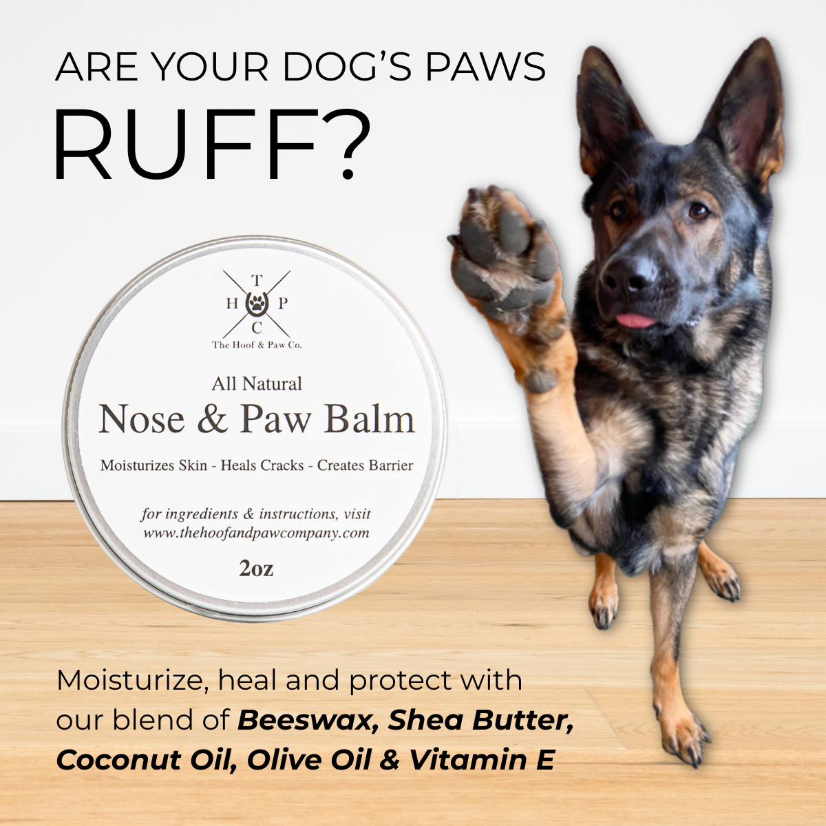 Nose & Paw Balm for Dogs - 2oz - Brought to you by Hoof & Paw Co.