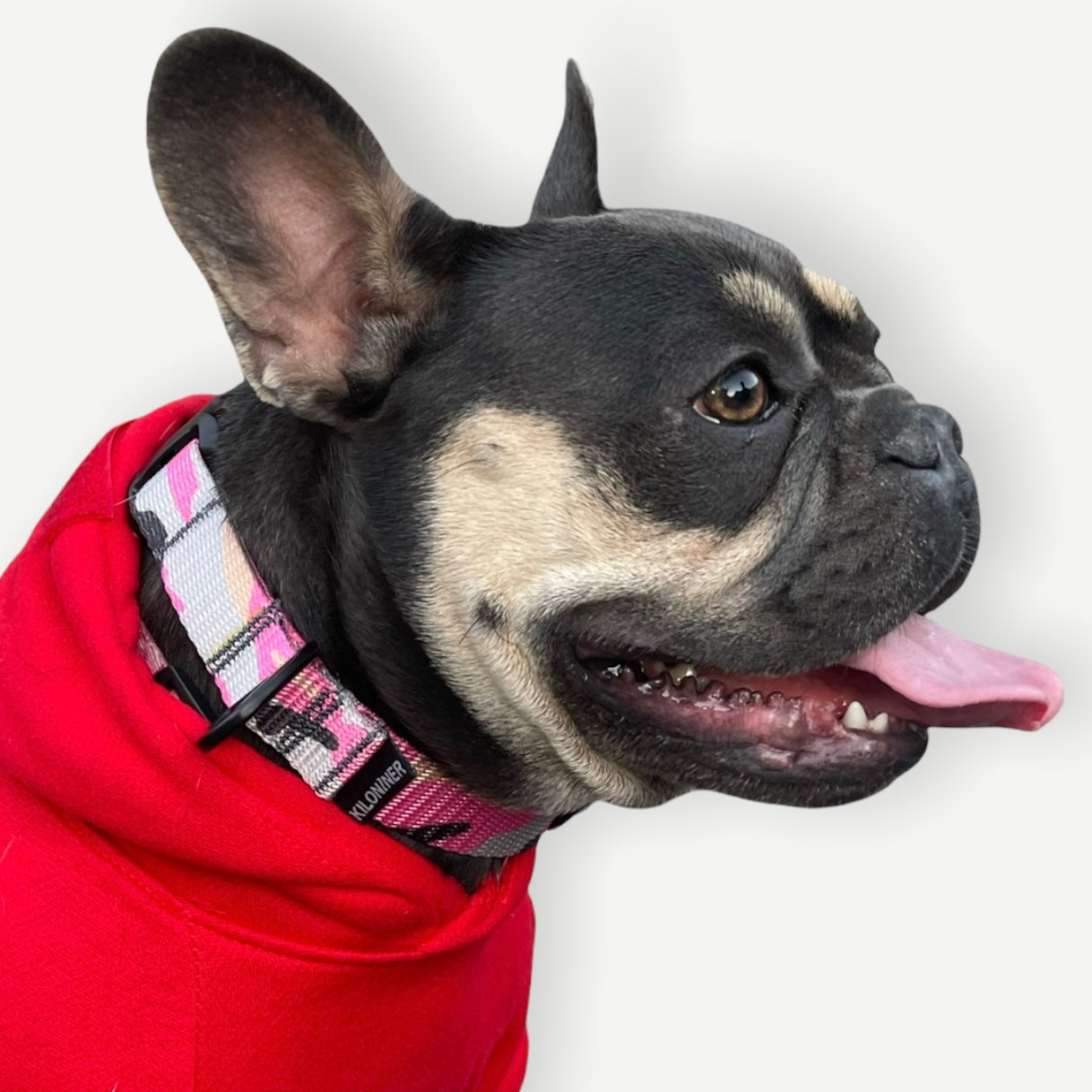 K9R - M2C Lightspeed Collar