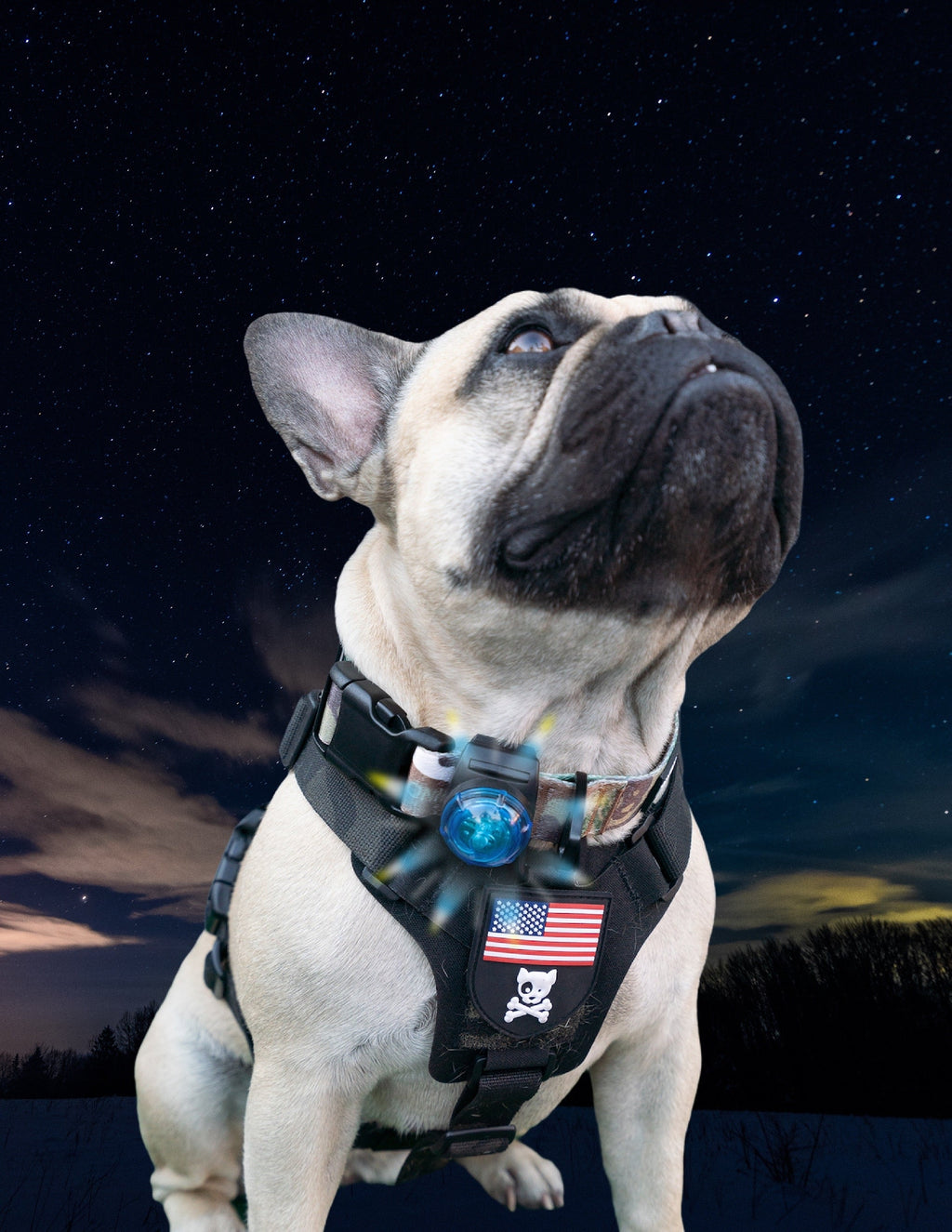 SF1 Clip-on Safety Light