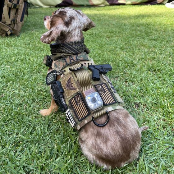 K9R - M5 MOLLE Light Vest